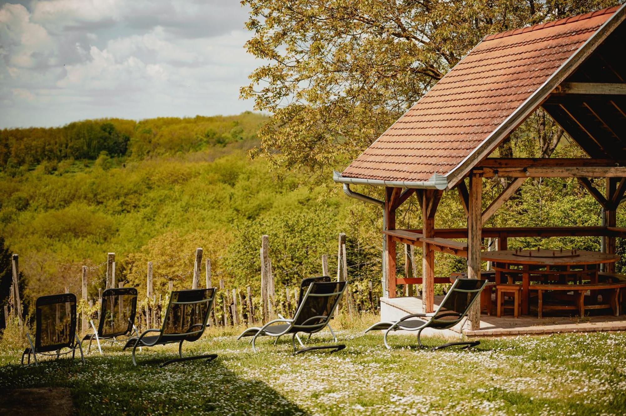 Foerhenc Wine House & Guesthouses I-Ii-Iii Nagykanizsa Eksteriør billede